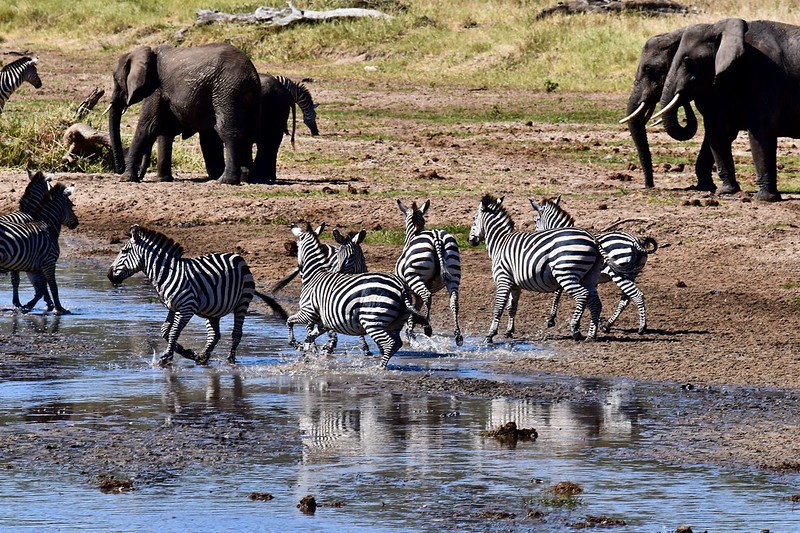 Tarangire National Park