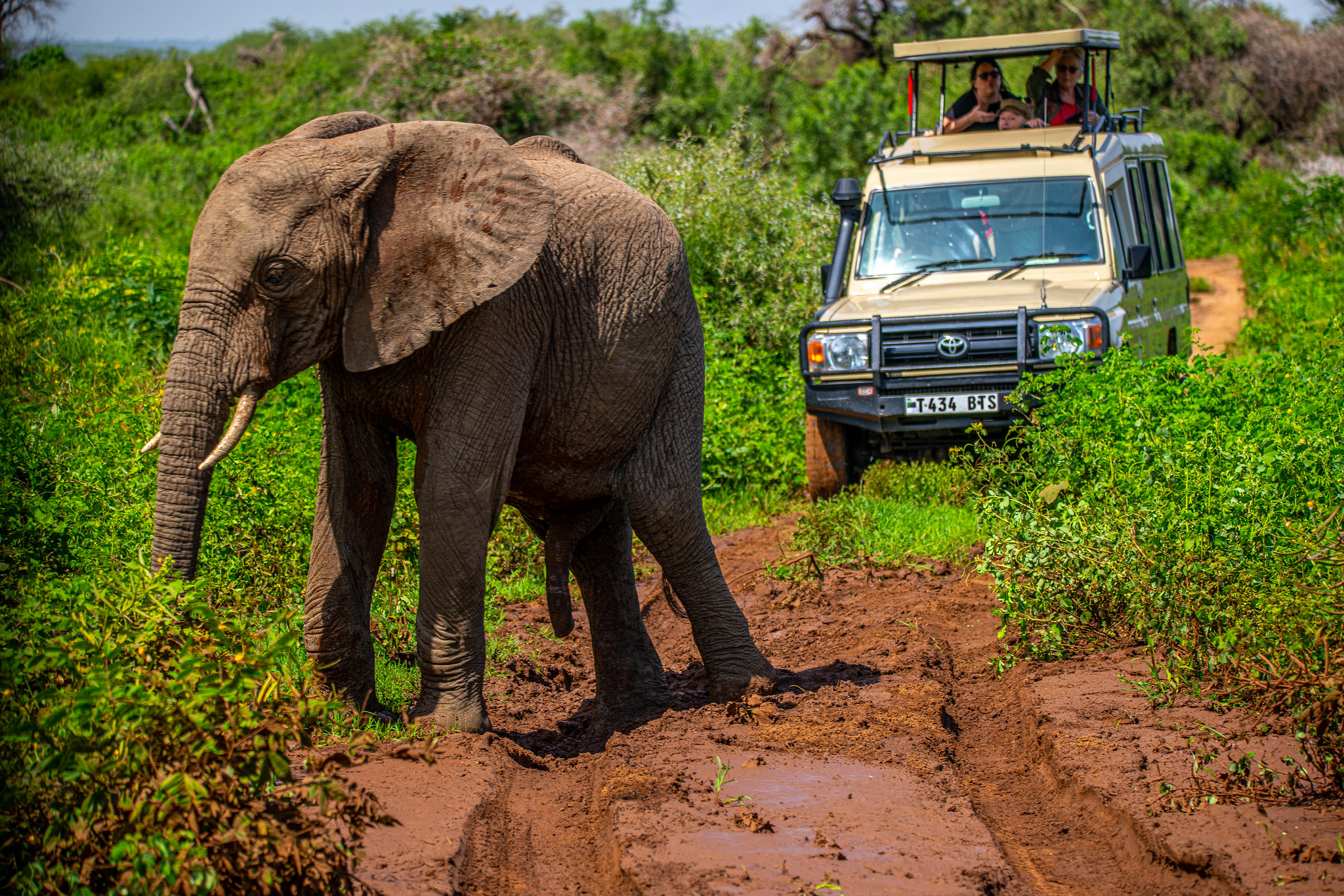 Why Visit Lake Manyara National Park?