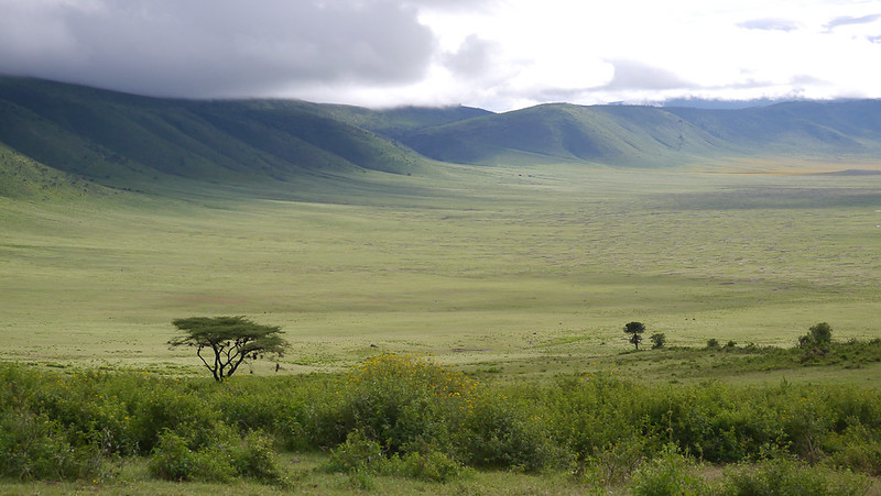 Ngorongoro Crater