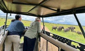 5-Day Best of Tanzania Safari