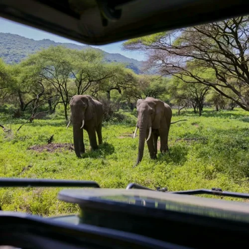 Lake Manyara National Park