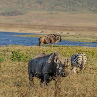 Ngorongoro Crater